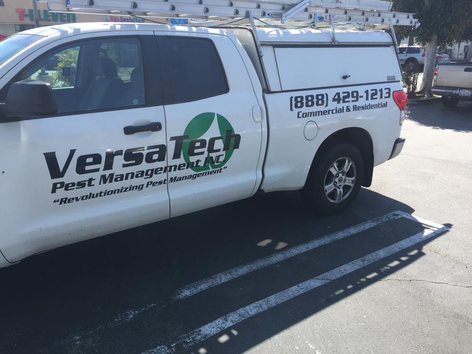 Pest Control Long Beach