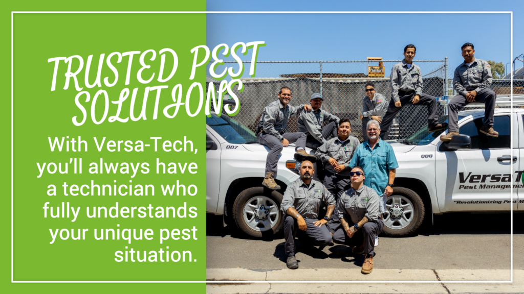 Testimonials Trusted Pest Solutions Versa-Tech
