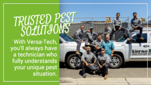 Trusted Los Angeles Pest Solutions Versa-Tech