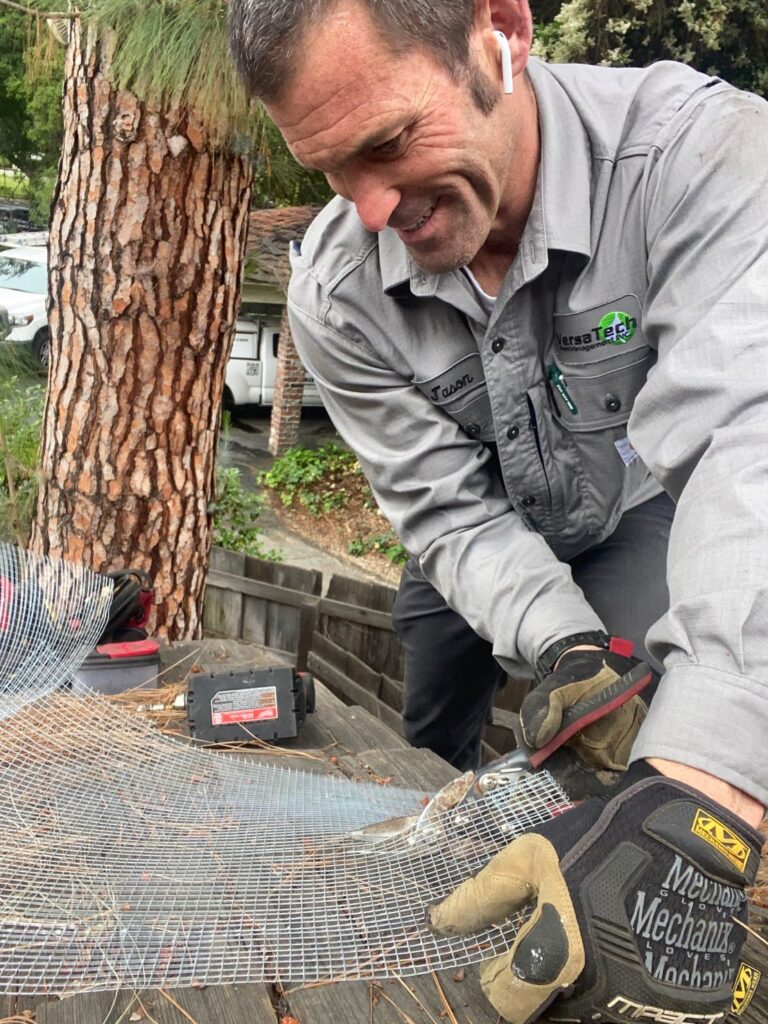 Rodent Control Near Me Versa-Tech