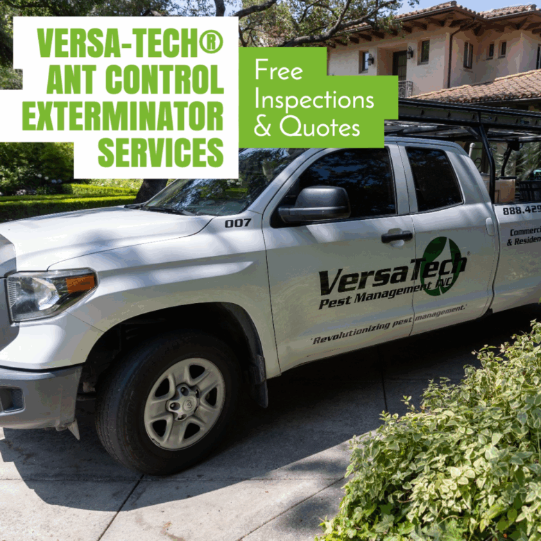 Versa-Tech Ant Control Exterminator