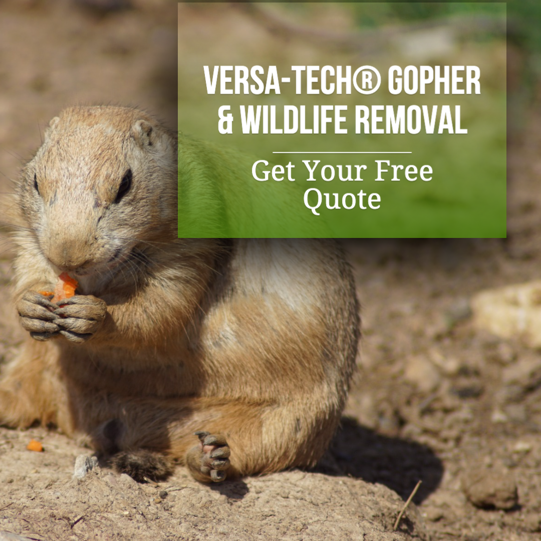 California Gopher Exterminator Versa-Tech