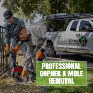 Gopher Mole Removal Versa-Tech