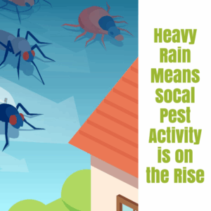 SoCal Rainy Weather Pest Control