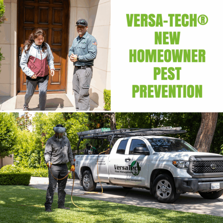 SoCal Pest Prevention New Homeowners